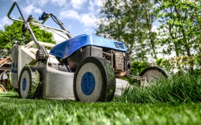 Keep Your Property in Top Shape